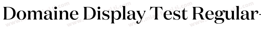 Domaine Display Test Regular字体转换